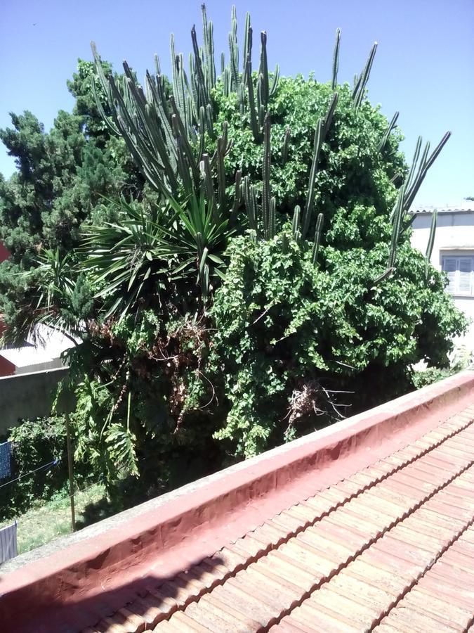 Hosteria Almirante Brown Mar del Plata Buitenkant foto